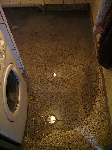 Floor drain in laundry room backing up new arrivals